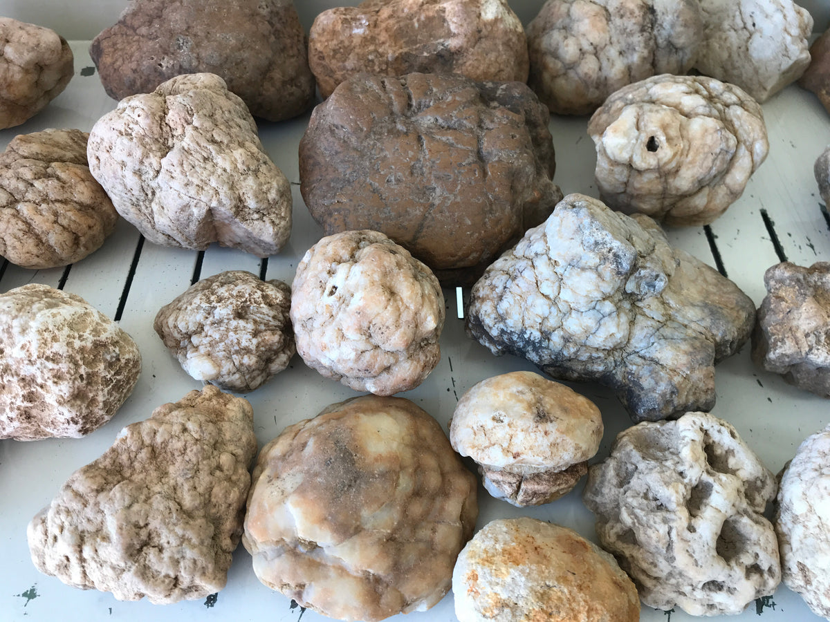 Tennessee Geode Jae's Gem Mine