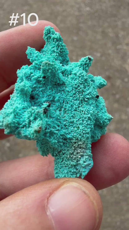 Chrysocolla pseudomorph after Malachite after Azurite