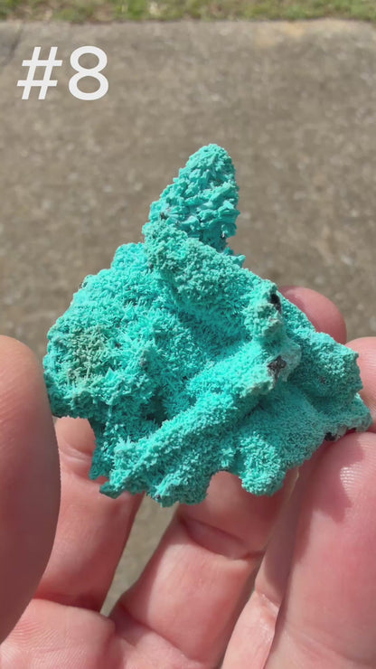Chrysocolla pseudomorph after Malachite after Azurite