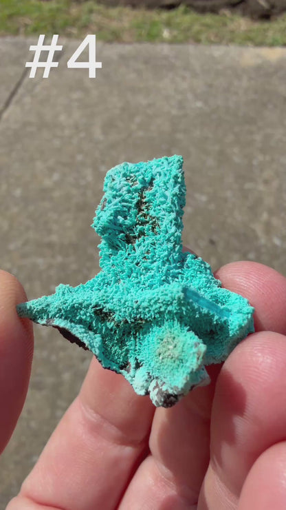 Chrysocolla pseudomorph after Malachite after Azurite