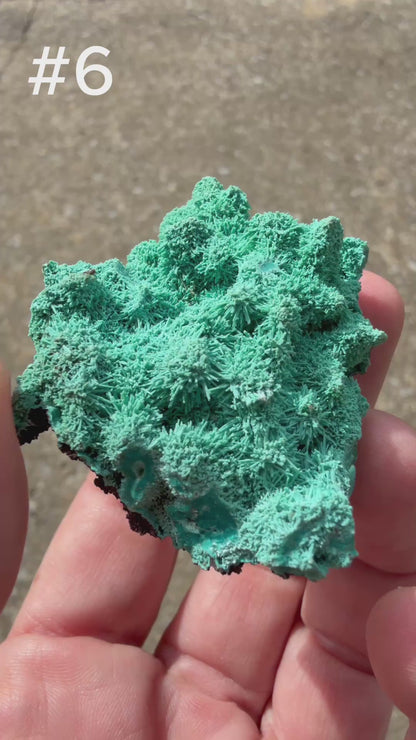Chrysocolla pseudomorph after Malachite after Azurite