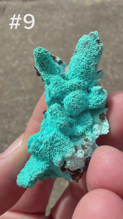 Chrysocolla pseudomorph after Malachite after Azurite