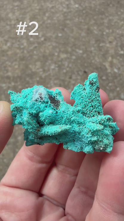 Chrysocolla pseudomorph after Malachite after Azurite
