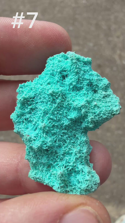 Chrysocolla pseudomorph after Malachite after Azurite