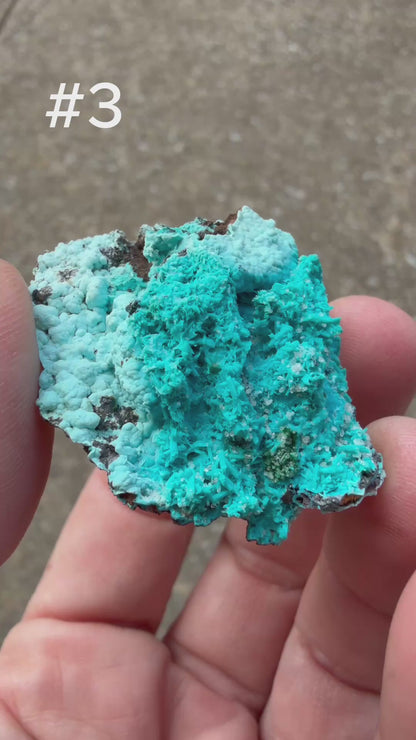 Chrysocolla pseudomorph after Malachite after Azurite