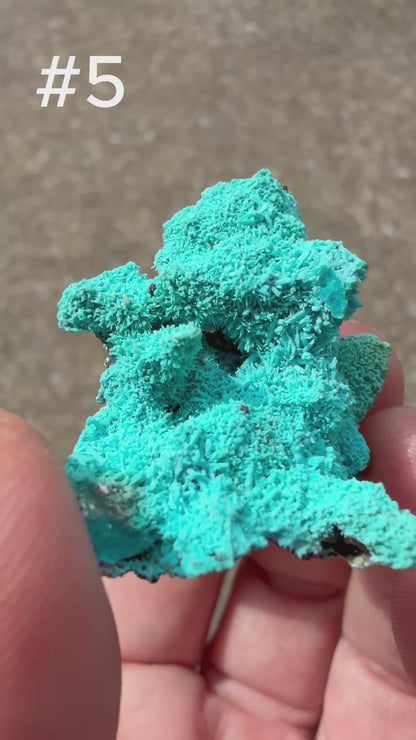 Chrysocolla pseudomorph after Malachite after Azurite