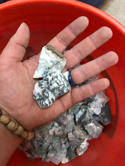 Tree Agate