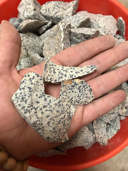 Dalmation Stone