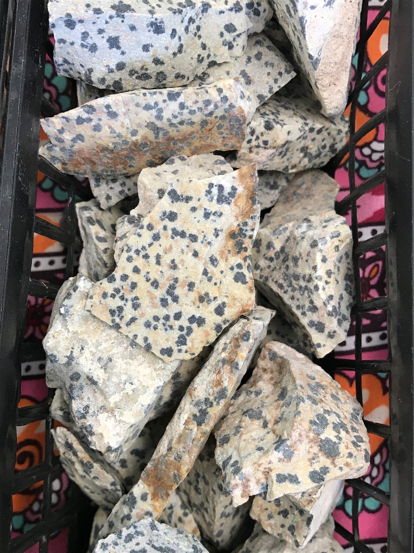 Dalmation Stone