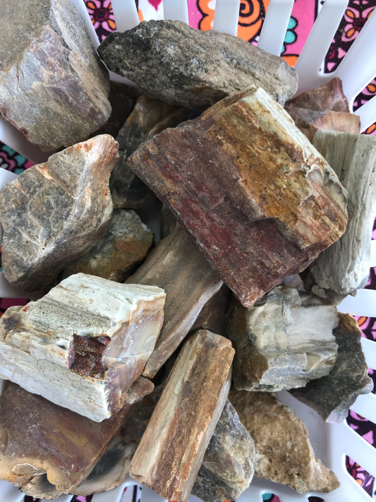 Petrified Wood
